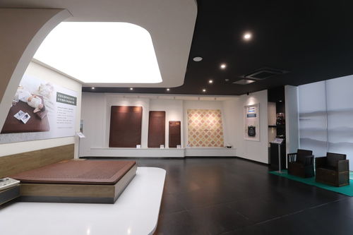 可喜安家庭喜迎新力量，健康咨詢服務(wù)為行業(yè)注入新活力